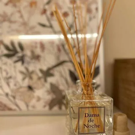 Rincon Acogedor Descubre La Ciudad アパート