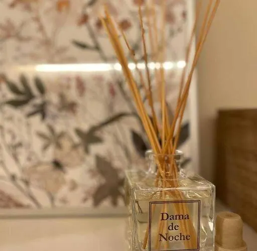 Rincon Acogedor Descubre La Ciudad Apartman